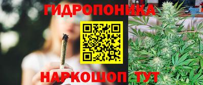 молекула духа Заводоуковск