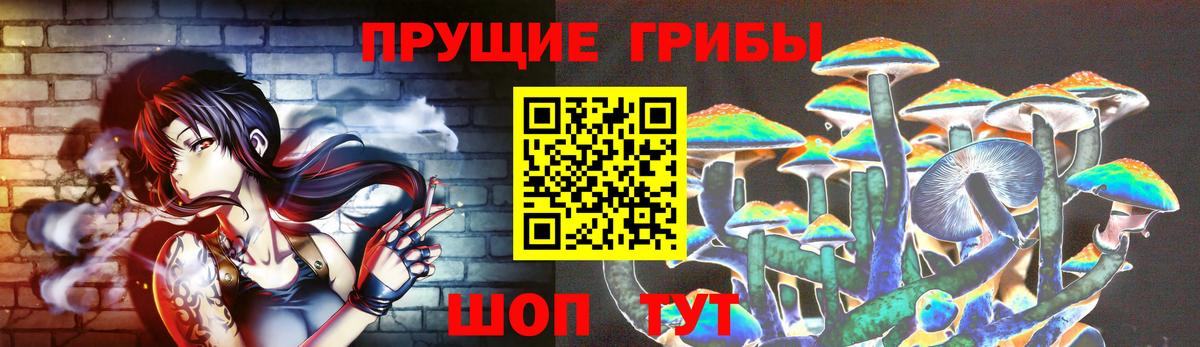 Ишимбай  Псилоцибиновые грибы мухоморы  Псилоцибиновые грибы прущие грибы  Вход с VPN 